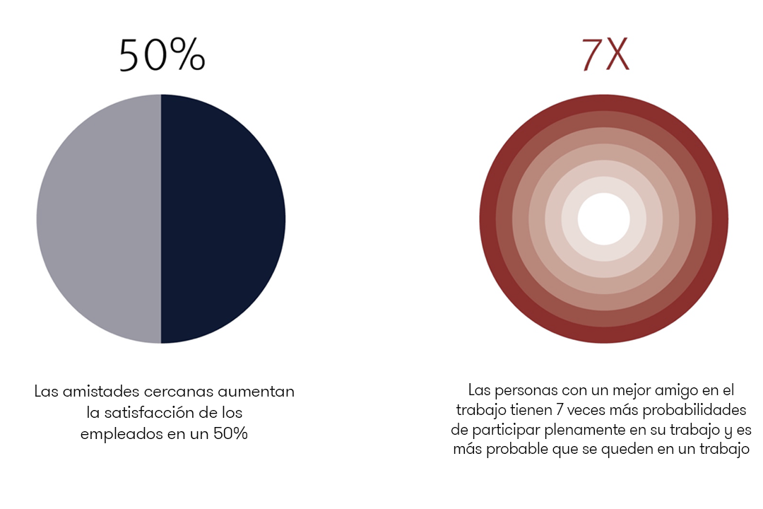 grafica didactica herman miller